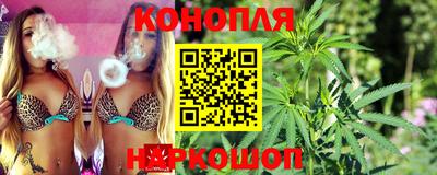 Альфа ПВП Кингисепп