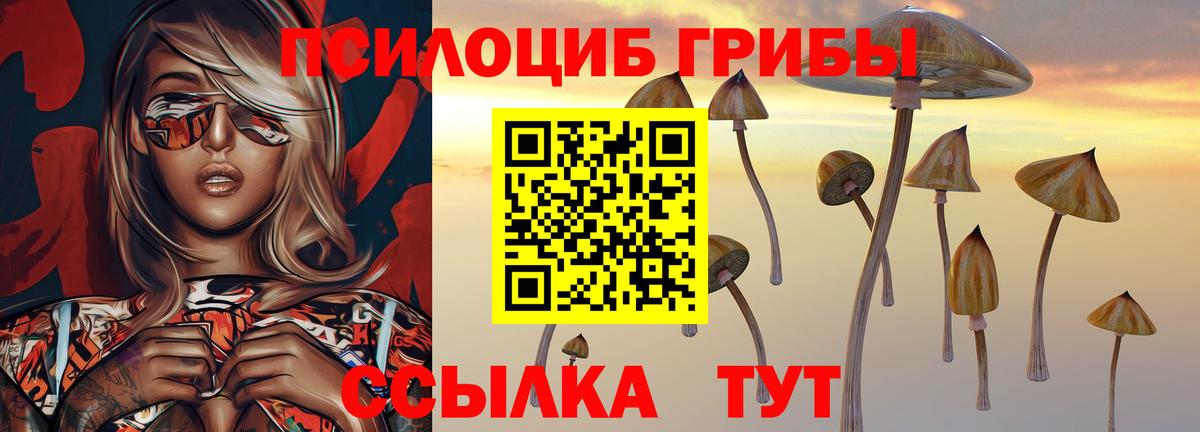 Галлюциногенные грибы Psilocybine cubensis  Вход с VPN  Краснознаменск 
